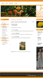 Mobile Screenshot of amphora.at